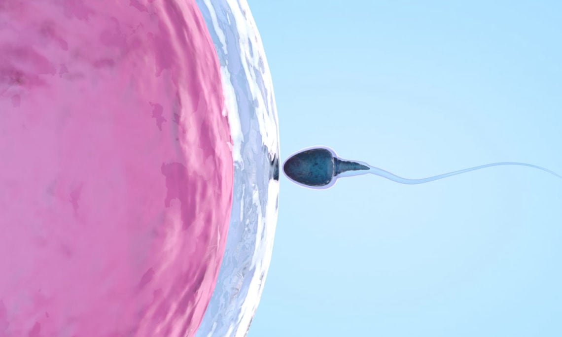 image-sperm-infographic
